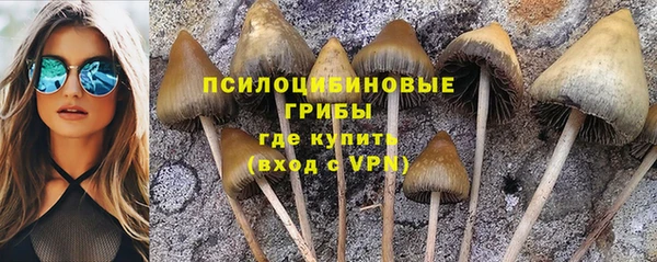 Альфа ПВП Абдулино