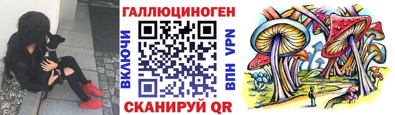 Галлюциногенные грибы Psilocybine cubensis  цена наркотик  это какой сайт  Тотьма 